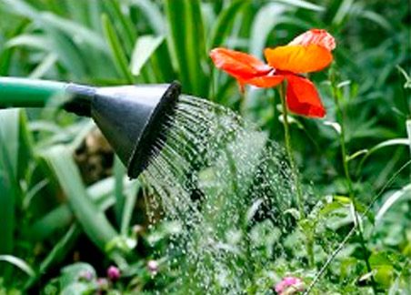 Jocoma de Aguas riego para planta